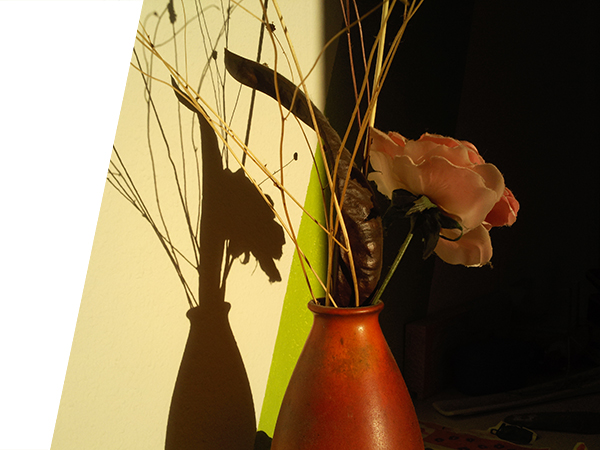 still lifes with style - wiped past